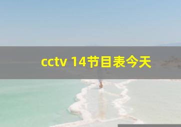 cctv 14节目表今天